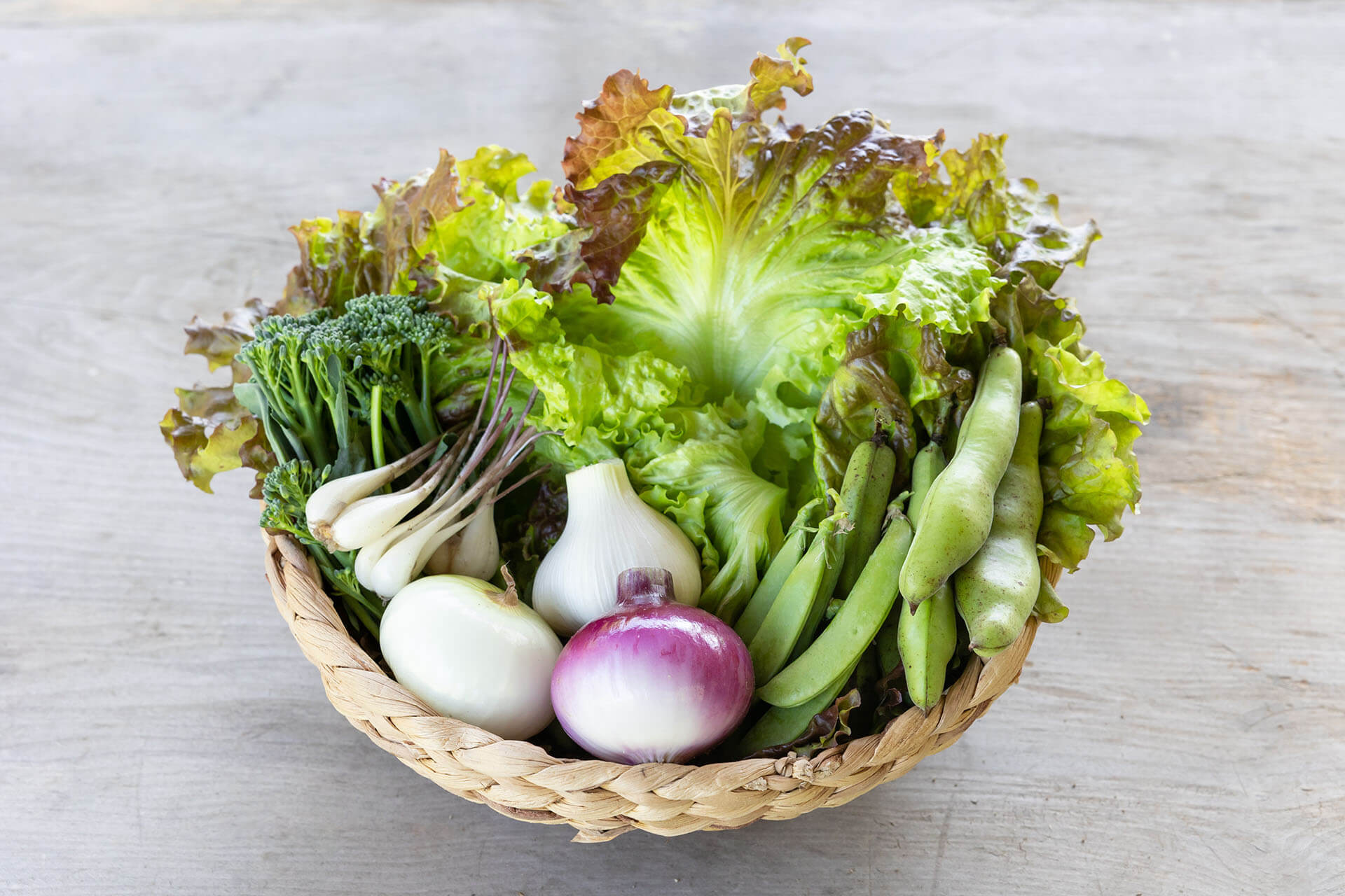 画像：どんな野菜が育っているの？
